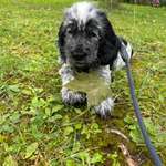 Ersteller:in Jan Profilbild