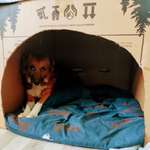 Ersteller:in Stephie Profilbild