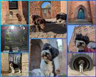 58. Foto Collagen Challenge: Torbögen-Beitrag-Bild