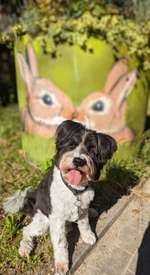 81. Foto Challenge: Graffiti-Beitrag-Bild