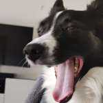 Ersteller:in Cilla Profilbild