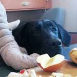 Ersteller:in Uli Profilbild