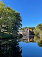 Hundeauslaufgebiet-Burgauer Wald-Bild