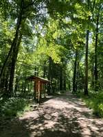Hundeauslaufgebiet-Burgauer Wald-Bild