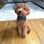 Ersteller:in Marleen Profilbild