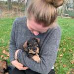 Ersteller:in Anne Profilbild