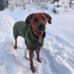 Ersteller:in Chiara Profilbild