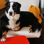 Ersteller:in Katharina Profilbild