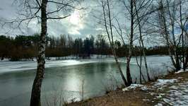 Hundeauslaufgebiet-Jägersee-Bild