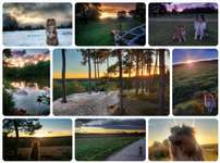 14. Collagen Challenge- Sonnenaufgang & -Untergang-Beitrag-Bild