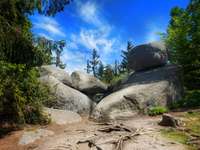 Hundeauslaufgebiet-Felsenlabyrinth Luisenburg-Bild