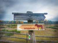 Hundeauslaufgebiet-Wildpferde Gehege-Bild