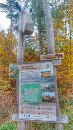 Hundeauslaufgebiet-Wildpferde Gehege-Bild