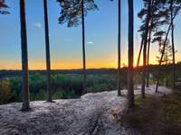 Hundeauslaufgebiet-Wolfgrube Leinburg-Bild