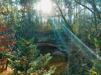 Hundeauslaufgebiet-Brückkanal Schluchtweg & Waldweg-Bild