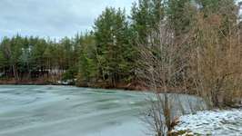 Hundeauslaufgebiet-Jägersee-Bild