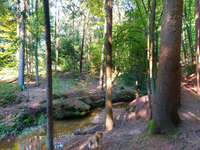 Hundeauslaufgebiet-Bitterbachschlucht-Bild