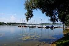 Hundeauslaufgebiet-Rothsee-Bild