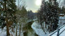 Hundeauslaufgebiet-Brückkanal Schluchtweg & Waldweg-Bild