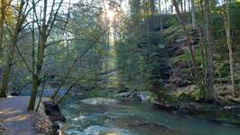 Hundeauslaufgebiet-Brückkanal Schluchtweg & Waldweg-Bild