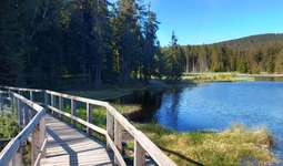 Hundeauslaufgebiet-Fichtelsee-Bild