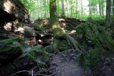 Hundeauslaufgebiet-Wallensteinweg & Schlucht mit Wasserfall-Bild