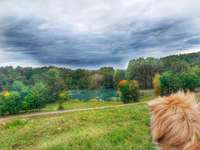 Hundeauslaufgebiet-Rothsee-Bild