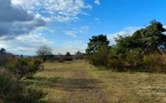 Hundeauslaufgebiet-Moorenbrunnfeld-Bild