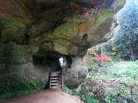 Hundeauslaufgebiet-Brückkanal Schluchtweg & Waldweg-Bild