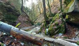 Hundeauslaufgebiet-Wallensteinweg & Schlucht mit Wasserfall-Bild