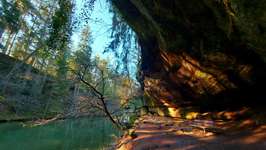 Hundeauslaufgebiet-Brückkanal Schluchtweg & Waldweg-Bild