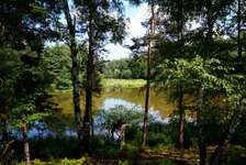 Hundeauslaufgebiet-Jägersee-Bild