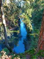 Hundeauslaufgebiet-Brückkanal Schluchtweg & Waldweg-Bild