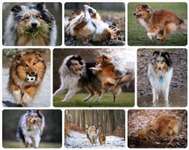 22. Collagen Challenge- Lebensfreude-Beitrag-Bild