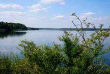 Hundeauslaufgebiet-Rothsee-Bild