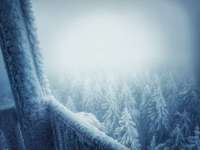 Hundeauslaufgebiet-Wandern zum Aussichtsturm Haidel-Bild