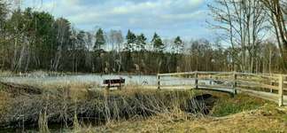 Hundeauslaufgebiet-Jägersee-Bild