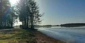 Hundeauslaufgebiet-Rothsee-Bild