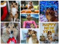 8. Collagen Challenge - Feste/Feierlichkeiten-Beitrag-Bild