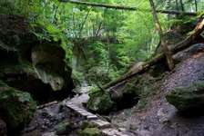 Hundeauslaufgebiet-Wallensteinweg & Schlucht mit Wasserfall-Bild