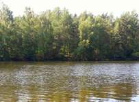 Hundeauslaufgebiet-Jägersee-Bild