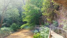 Hundeauslaufgebiet-Brückkanal Schluchtweg & Waldweg-Bild