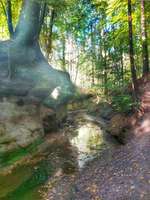 Hundeauslaufgebiet-Bitterbachschlucht-Bild