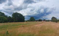 Hundeauslaufgebiet-Moorenbrunnfeld-Bild