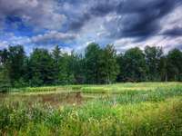 Hundeauslaufgebiet-Jägersee-Bild