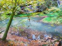 Hundeauslaufgebiet-Brückkanal Schluchtweg & Waldweg-Bild