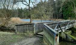 Hundeauslaufgebiet-Jägersee-Bild