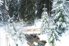 Hundeauslaufgebiet-Wasserfälle & Wasserrad Haidmühle-Bild