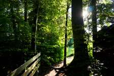 Hundeauslaufgebiet-Wallensteinweg & Schlucht mit Wasserfall-Bild