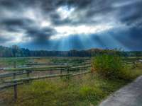 Hundeauslaufgebiet-Wildpferde Gehege-Bild